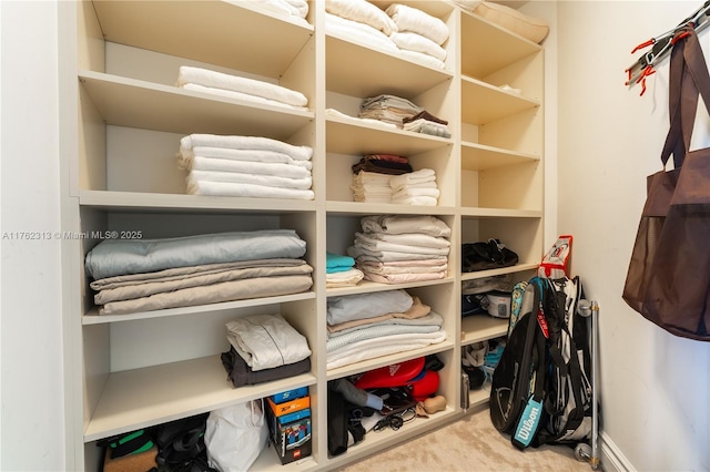 spacious closet with carpet