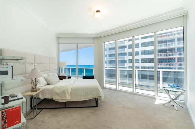 bedroom featuring access to exterior, carpet flooring, and ornamental molding