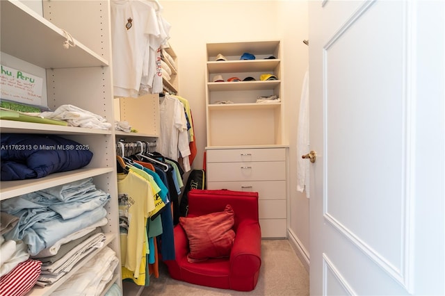 spacious closet featuring carpet