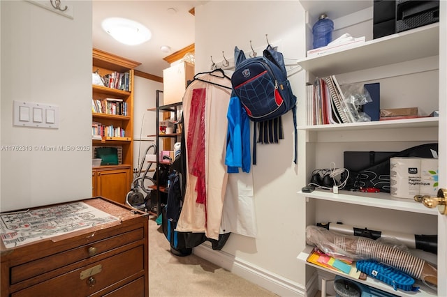 spacious closet with light colored carpet