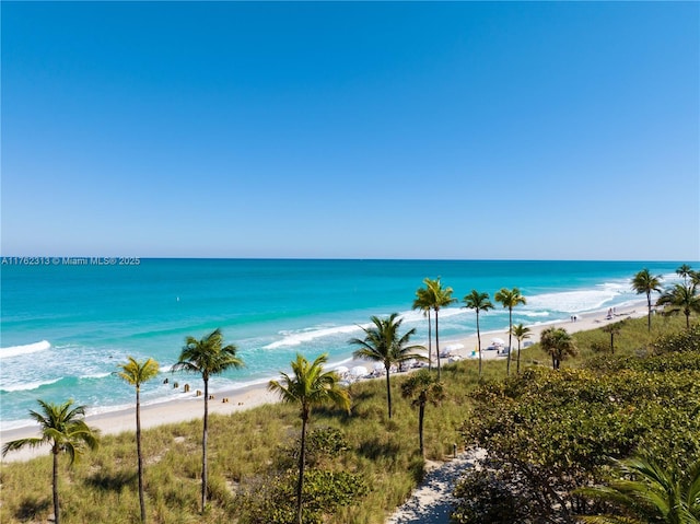 property view of water with a beach view