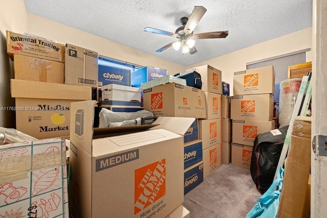 storage area featuring a ceiling fan