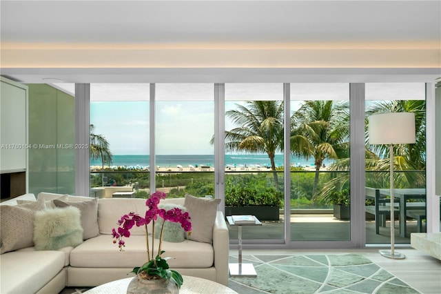 living room featuring a view of the beach, plenty of natural light, and a water view