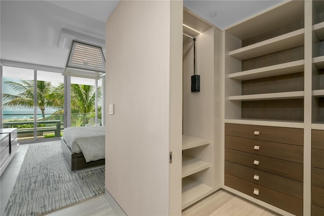 walk in closet featuring light wood-type flooring