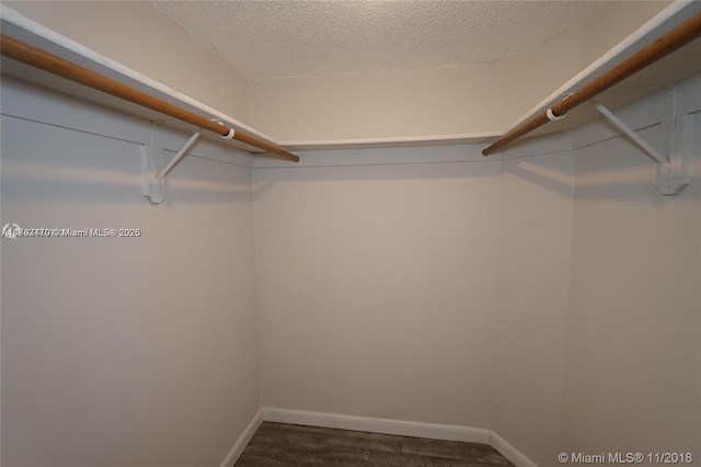 walk in closet with dark wood-style flooring