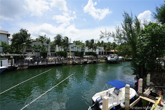 dock area with a water view