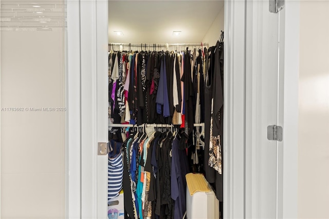 view of spacious closet