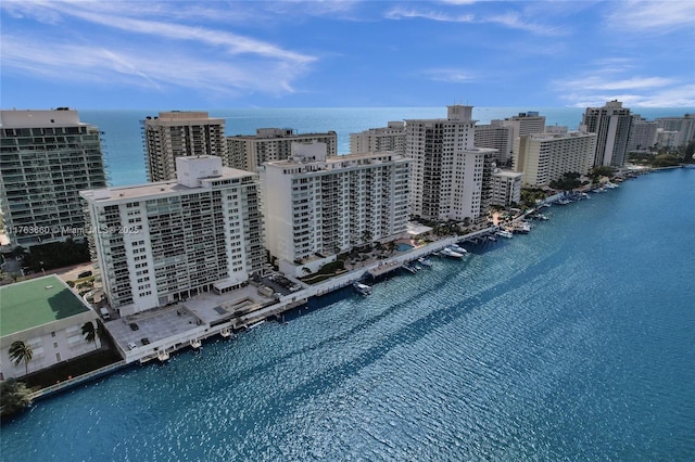 aerial view with a city view and a water view