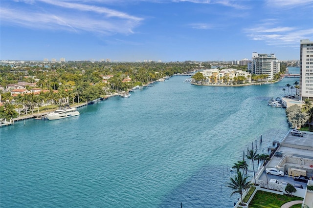 drone / aerial view featuring a city view and a water view