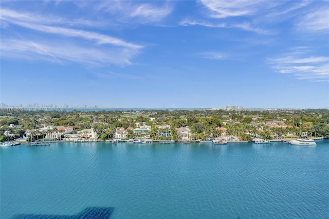 aerial view featuring a view of city and a water view