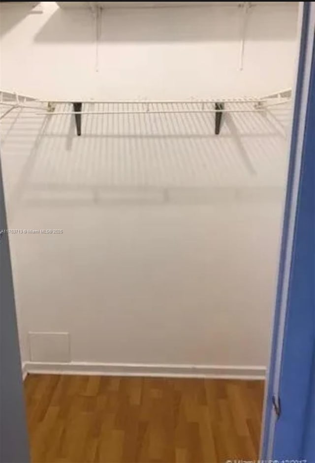 spacious closet featuring wood finished floors