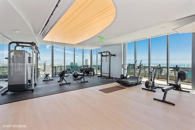 exercise room featuring a wall of windows, plenty of natural light, wood finished floors, and a view of city