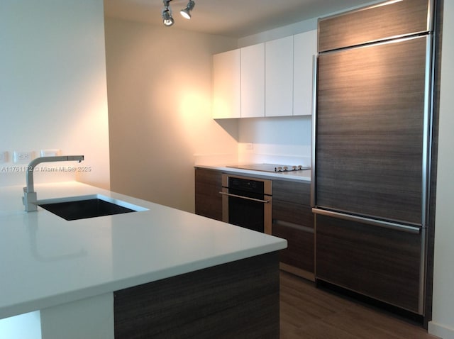 kitchen with a sink, oven, built in refrigerator, black electric cooktop, and modern cabinets