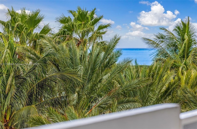 view of water feature