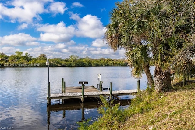 dock area featuring a water view