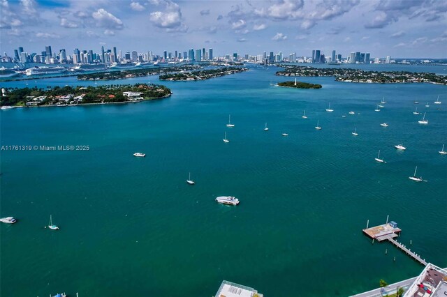 water view with a view of city