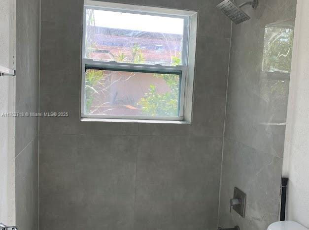 full bathroom with a wealth of natural light and walk in shower