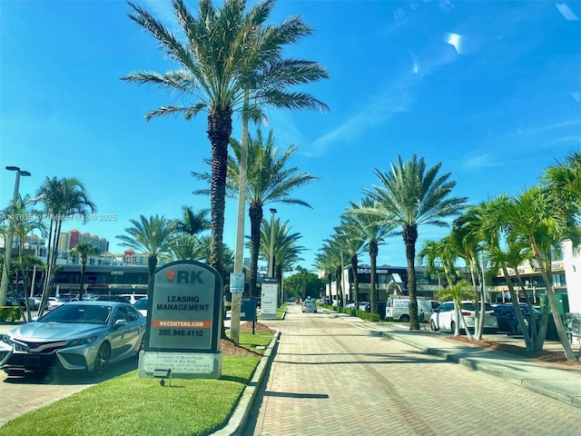 view of street featuring street lights and curbs