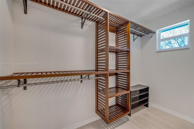 13390 SW 26th St, Davie, FL 33325 - view of spacious closet