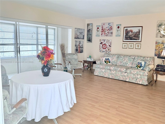 17202 SW 113th Ct Unit 21943A, Miami, FL 33157 - living room featuring light wood finished floors