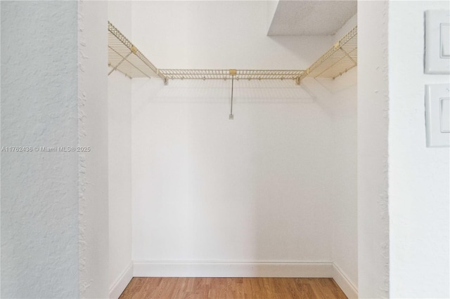 walk in closet featuring light wood-style floors