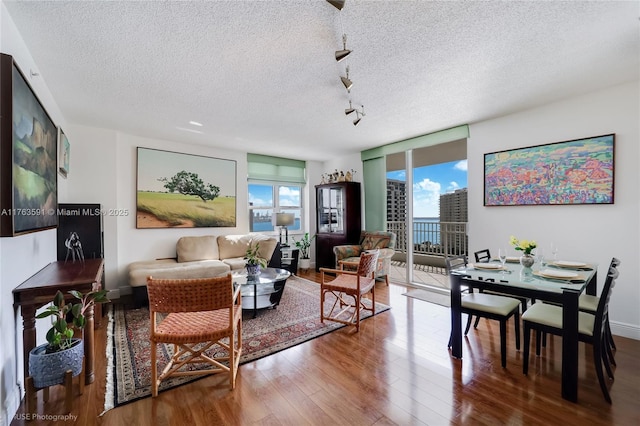 living area featuring expansive windows, a textured ceiling, wood finished floors, and track lighting