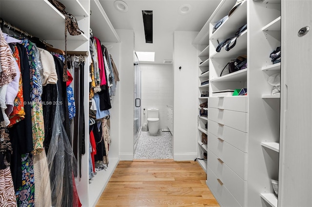 spacious closet featuring wood finished floors