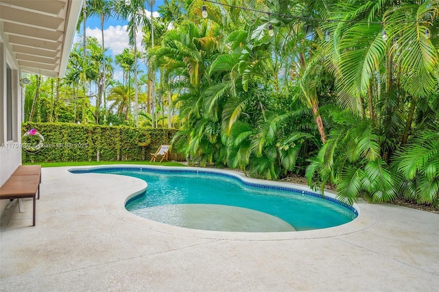 view of swimming pool with a fenced in pool, a patio, and fence