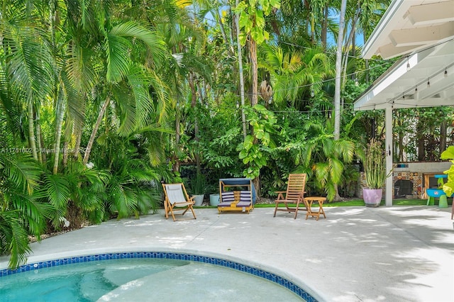 view of pool with a patio and a pool