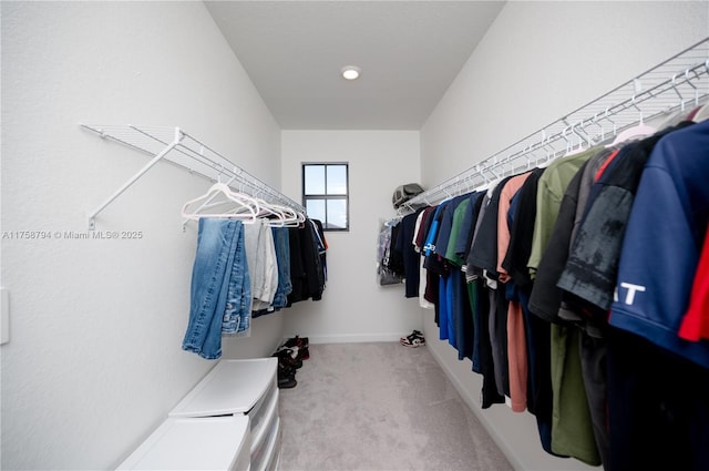 walk in closet with carpet