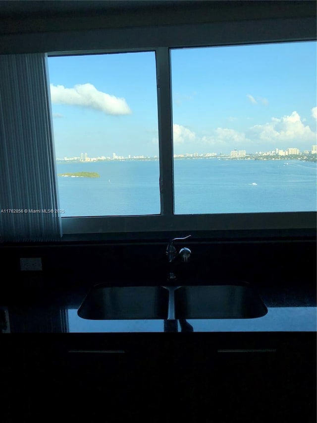 details featuring a water view and a sink