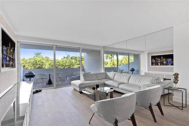 living room with wood finished floors