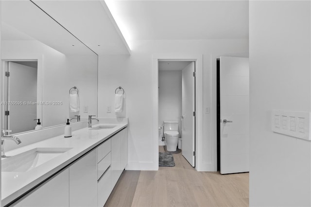 bathroom with a sink, toilet, wood finished floors, and double vanity