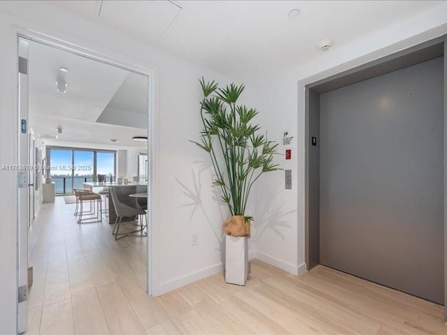 hall featuring elevator, light wood-style floors, and baseboards