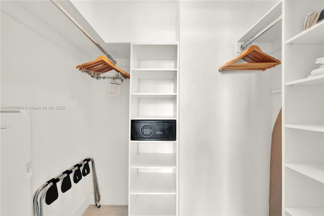 view of spacious closet