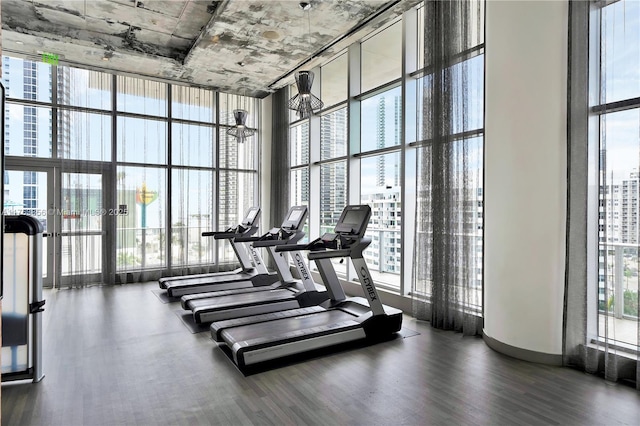 exercise room with a city view, a wall of windows, a high ceiling, and wood finished floors