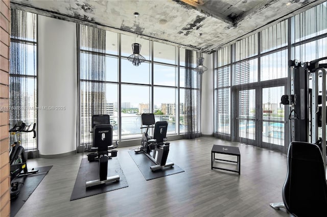 gym featuring expansive windows, a city view, wood finished floors, and a towering ceiling