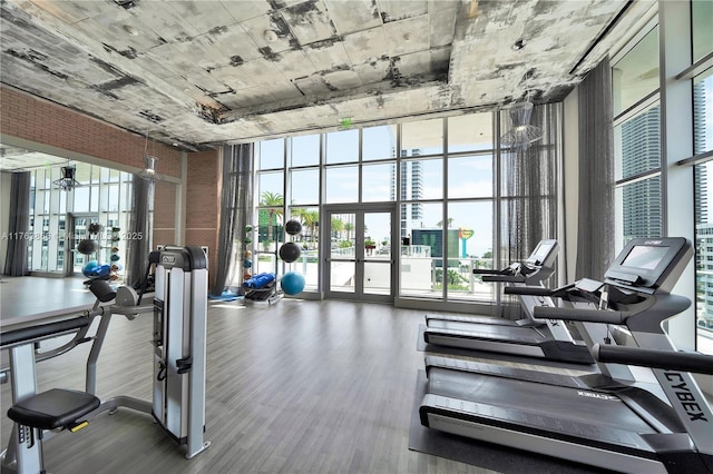 exercise room with a healthy amount of sunlight, french doors, wood finished floors, and expansive windows