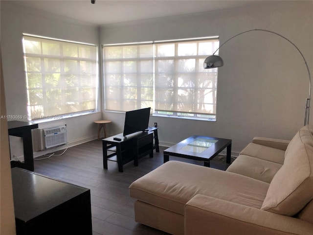 living room featuring a healthy amount of sunlight, an AC wall unit, and wood finished floors