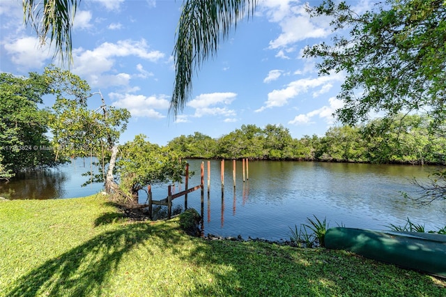 view of dock featuring a yard and a water view