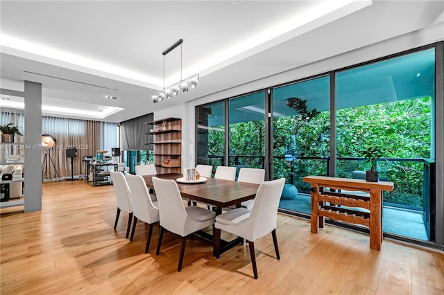 dining room featuring a tray ceiling and light wood-style floors