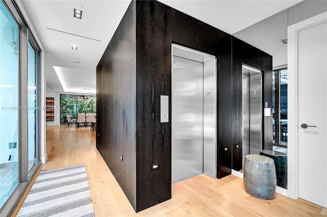 hall with elevator, light wood-style flooring, and a wall of windows