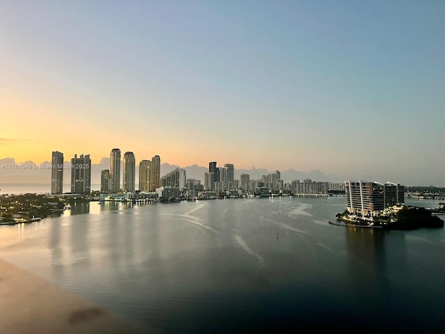 water view featuring a city view