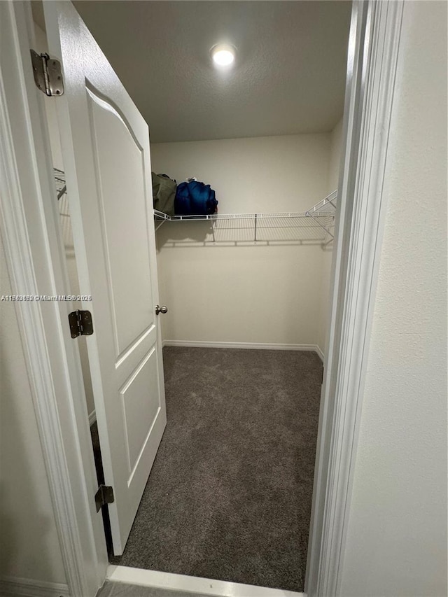 spacious closet with carpet