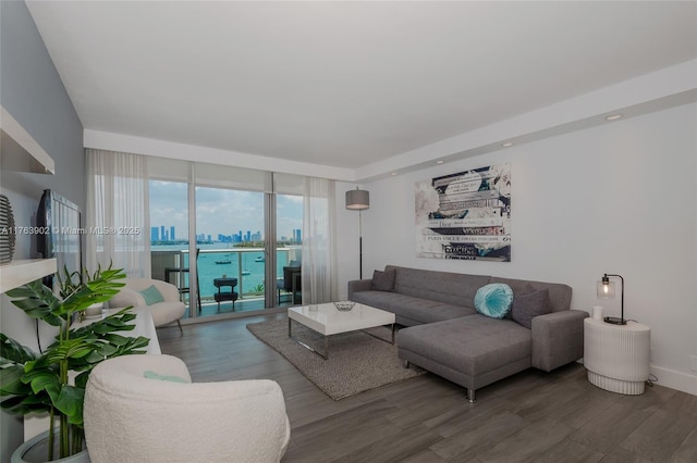 living area with baseboards, a city view, and wood finished floors