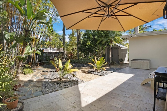 view of patio / terrace with a storage shed and an outdoor structure