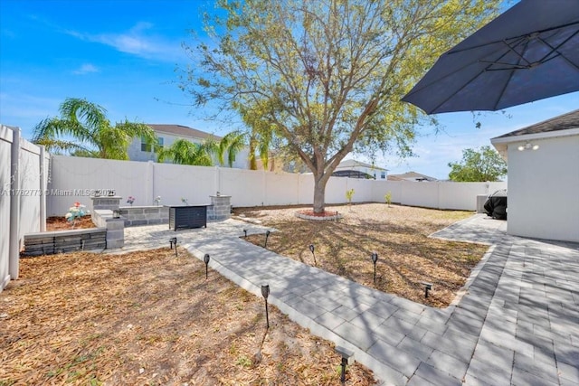 view of yard with a patio and a fenced backyard