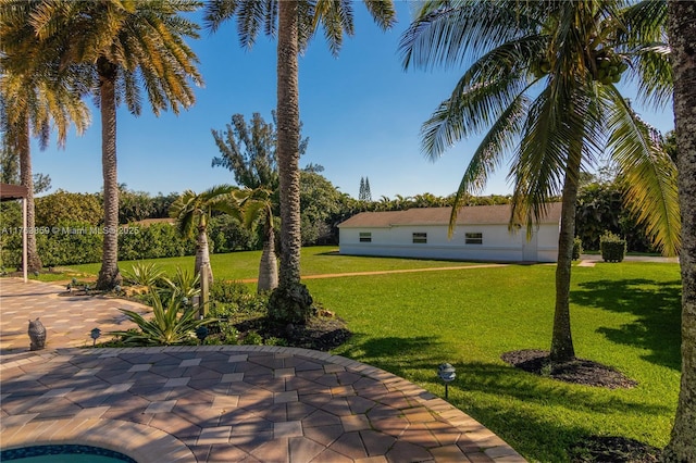 view of yard with a patio