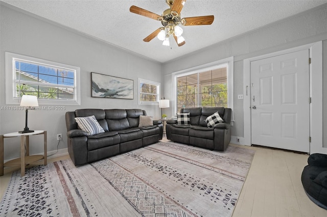 living area with a ceiling fan, wood finished floors, baseboards, a textured ceiling, and crown molding