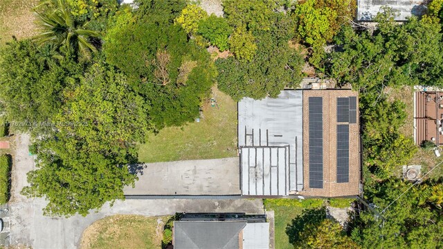 10851 NE 2nd Ct, Miami, FL 33161 - photo 10
